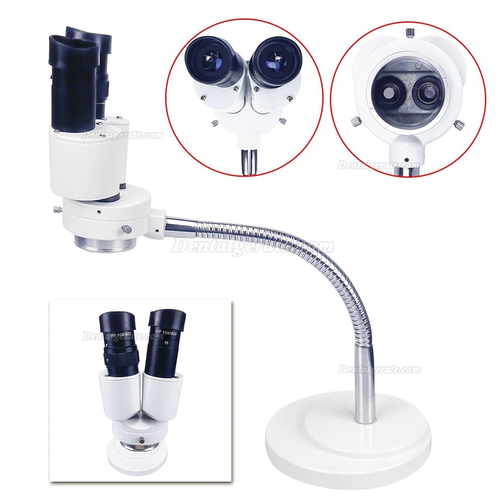 HAYEAR Binokulares Mikroskop mit 10-facher Vergr&ouml;&szlig;erung f&uuml;r Dentallabore, ohne LED-Lampe