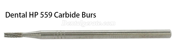 10 Stück HP 559 560 562 563 Handstück-Schaft(HP) Hartmetallbohrer Zahnmedizin Gerade Fissur Querschnitt Zahnbohrer 10 Stück HP 559 560 562 563 Handstück-Schaft(HP) Hartmetallbohrer Zahnmedizin Gerade Fissur Querschnitt Zahnbohrer