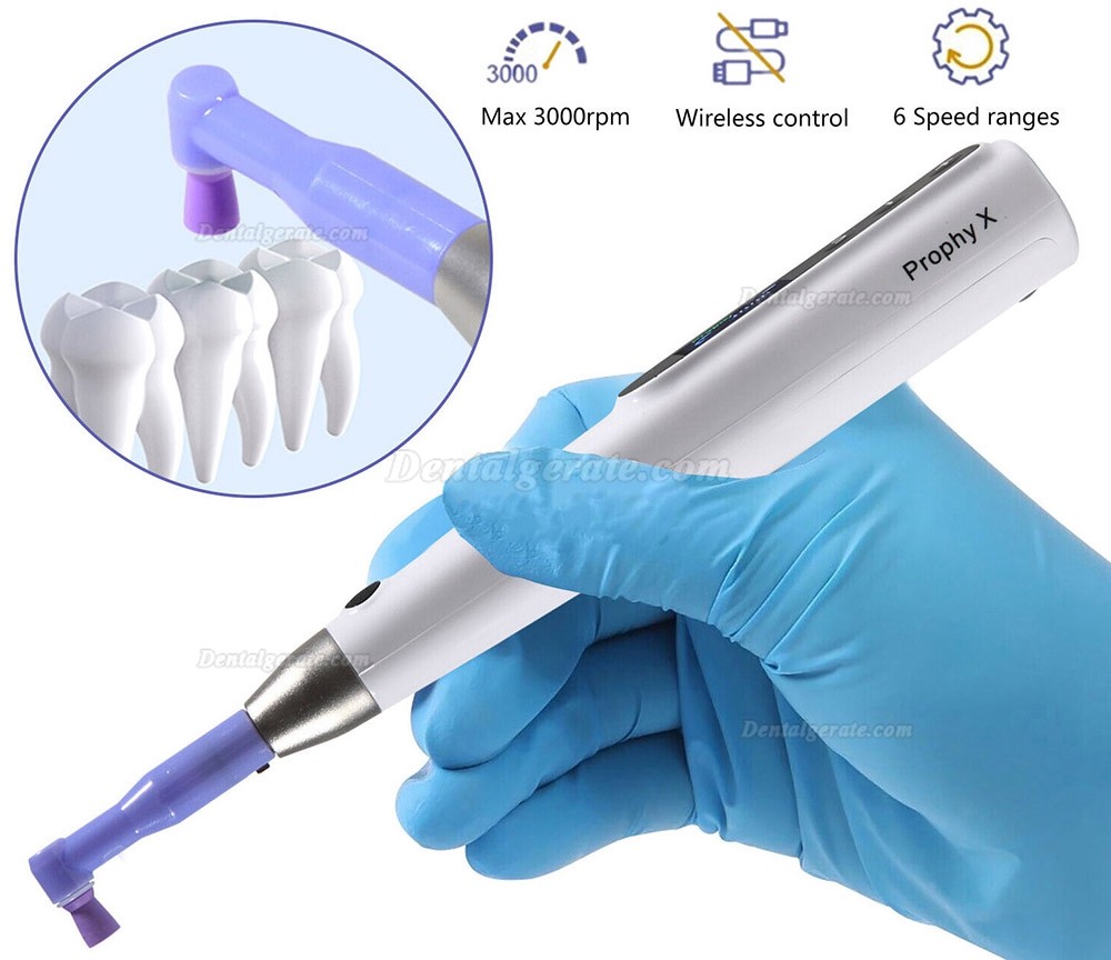Dentales Elektrisches Prophylaxe Handst&uuml;ck / Prophylaxe Winkelst&uuml;cke mit 2 Polierkelchen