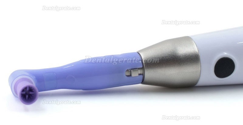 Dentales Elektrisches Prophylaxe Handst&uuml;ck / Prophylaxe Winkelst&uuml;cke mit 2 Polierkelchen