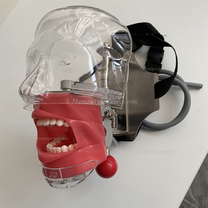 Jingle C6-3 Phantomkopf Zahnmedizin Behandlungsstuhl (Kompatibel Mit Nissin Kilgore) Jingle C6-3 Phantomkopf Zahnmedizin Behandlungsstuhl (Kompatibel Mit Nissin Kilgore)