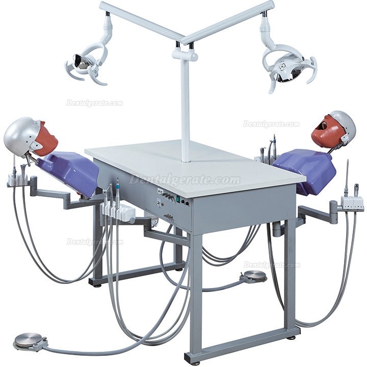 Jingle JG-A4 Phantomk&ouml;pfe Dentale Simulationseinheiten Patientensimulator