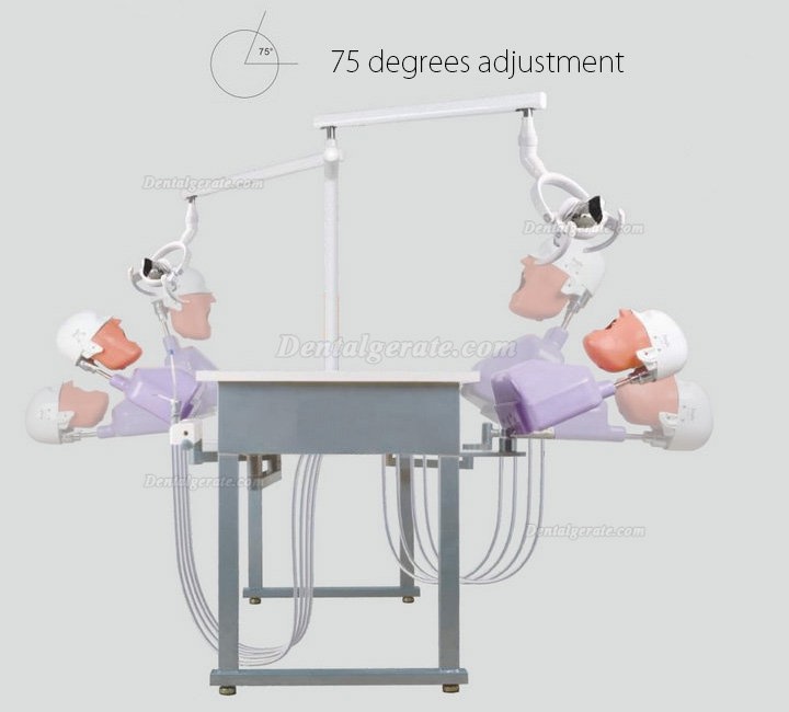 Jingle JG-A4 Phantomk&ouml;pfe Dentale Simulationseinheiten Patientensimulator