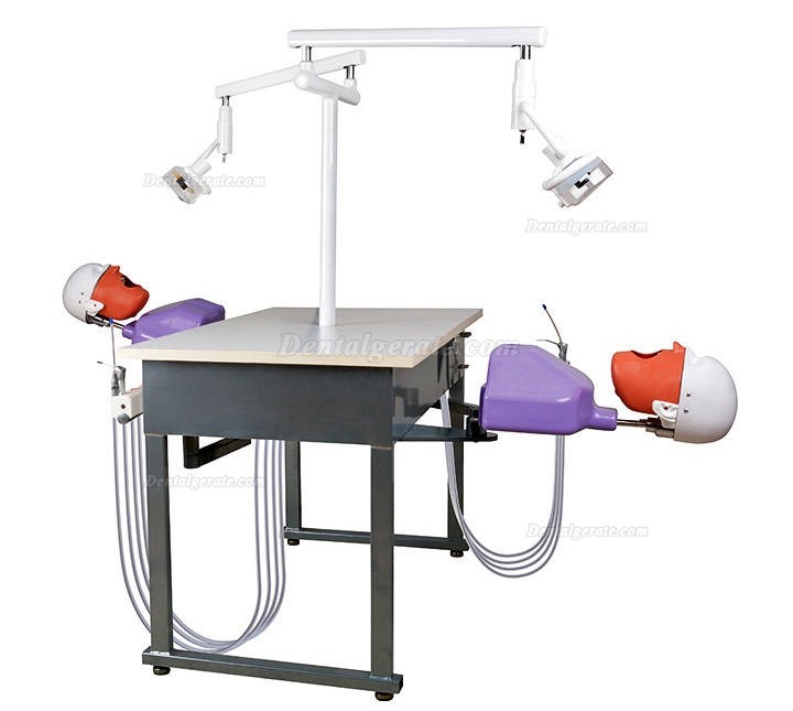 Jingle JG-A4 Phantomk&ouml;pfe Dentale Simulationseinheiten Patientensimulator