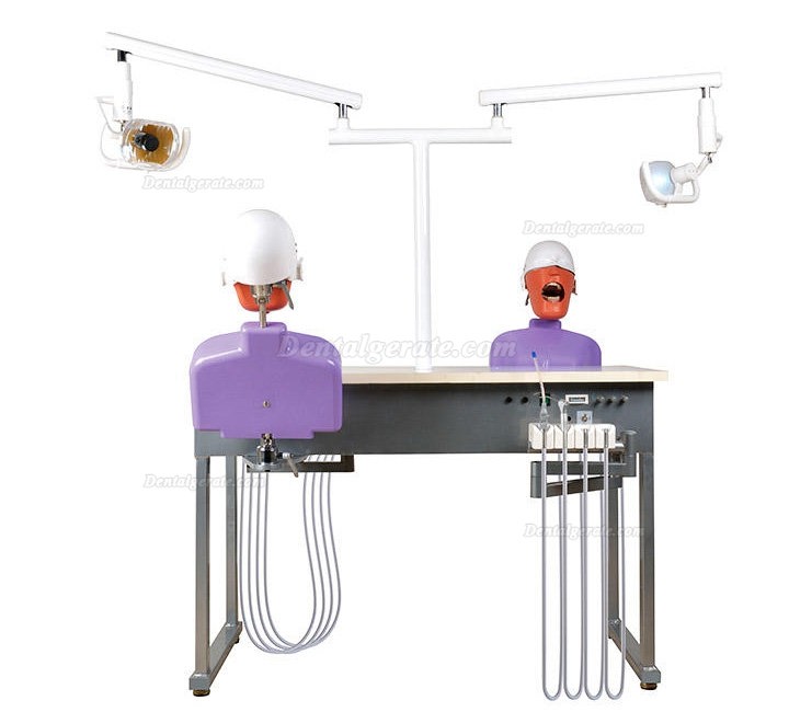 Jingle JG-A4 Phantomk&ouml;pfe Dentale Simulationseinheiten Patientensimulator