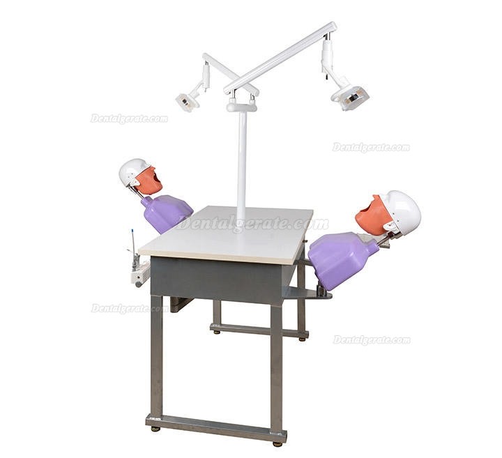 Jingle JG-A4 Phantomk&ouml;pfe Dentale Simulationseinheiten Patientensimulator