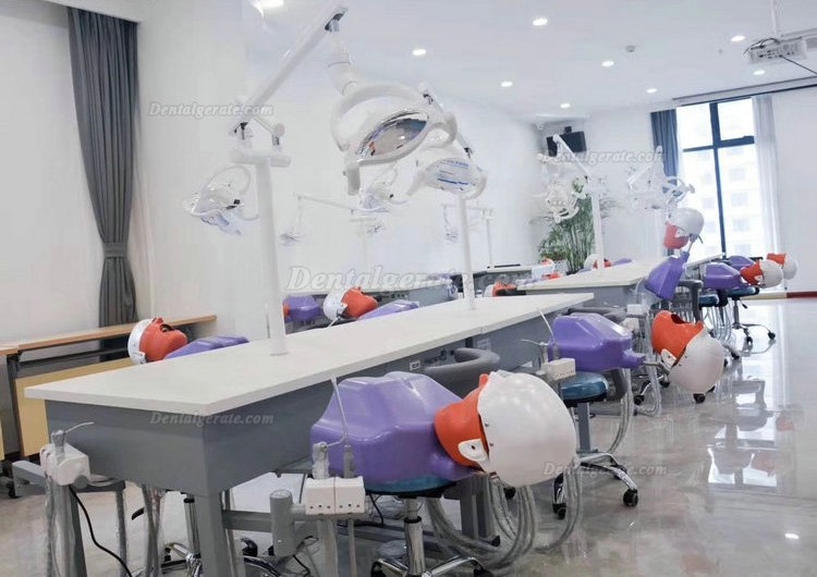 Jingle JG-A4 Phantomk&ouml;pfe Dentale Simulationseinheiten Patientensimulator