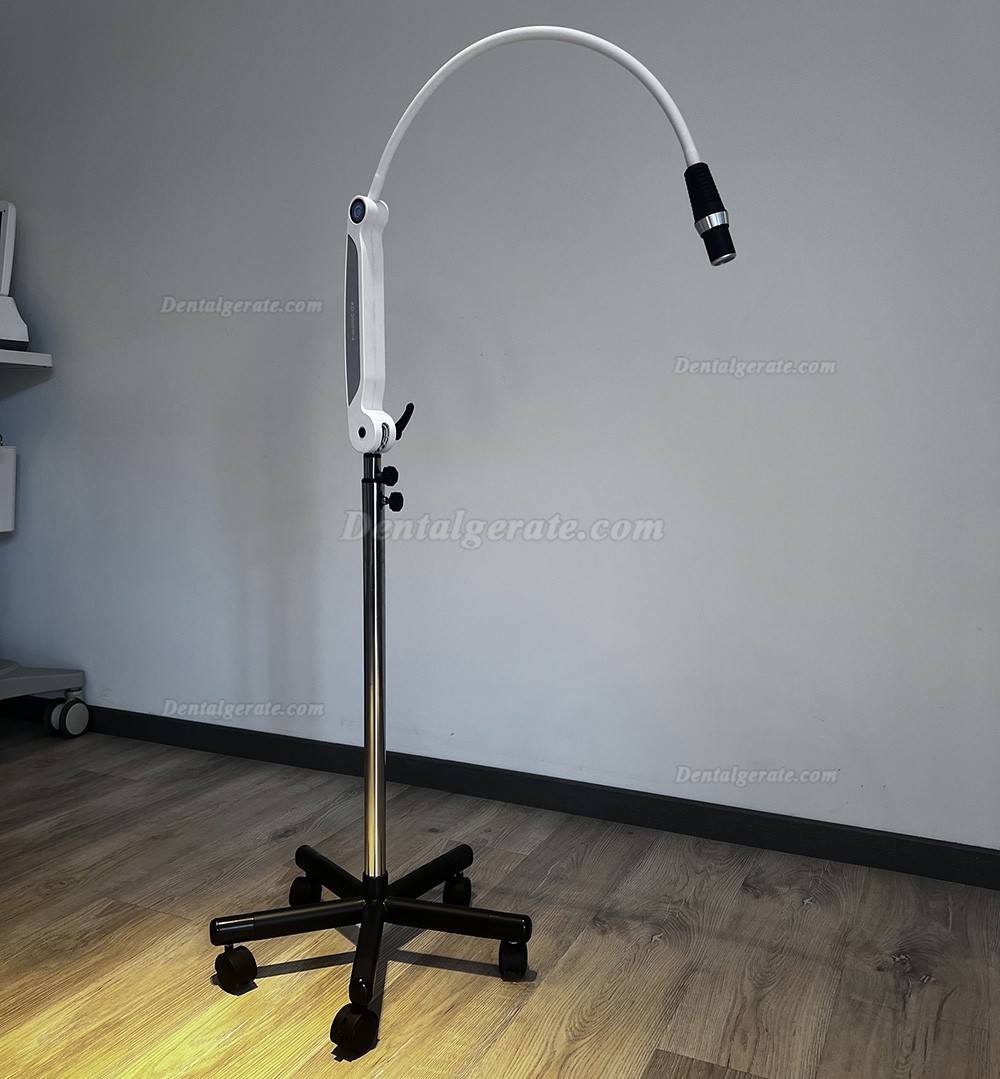 KWS KD-2005W-4 LED-Untersuchungsleuchte f&uuml;r Zahn&auml;rzte, verstellbare Operationsleuchte mit Fernbedienung