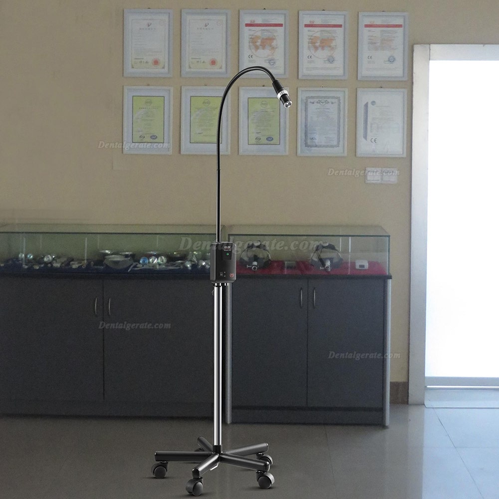 5W LED Tragbares Untersuchungslicht mit hoher Helligkeit KD-2005W-1