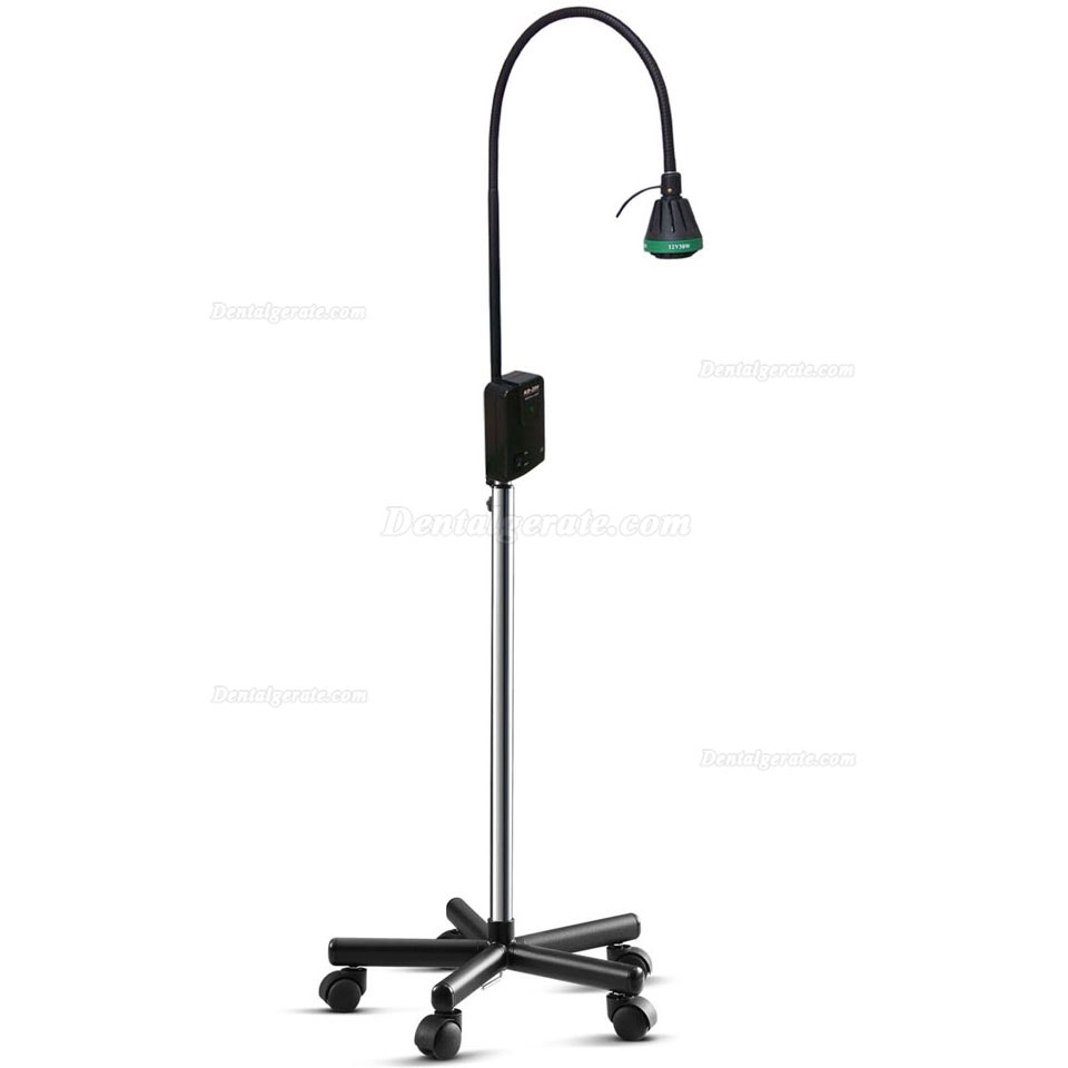 3W LED Tragbares zahnärztliches Untersuchungslicht mit hoher Helligkeit KWS KD-2005W-2 3W LED Tragbares zahnärztliches Untersuchungslicht mit hoher Helligkeit KWS KD-2005W-2
