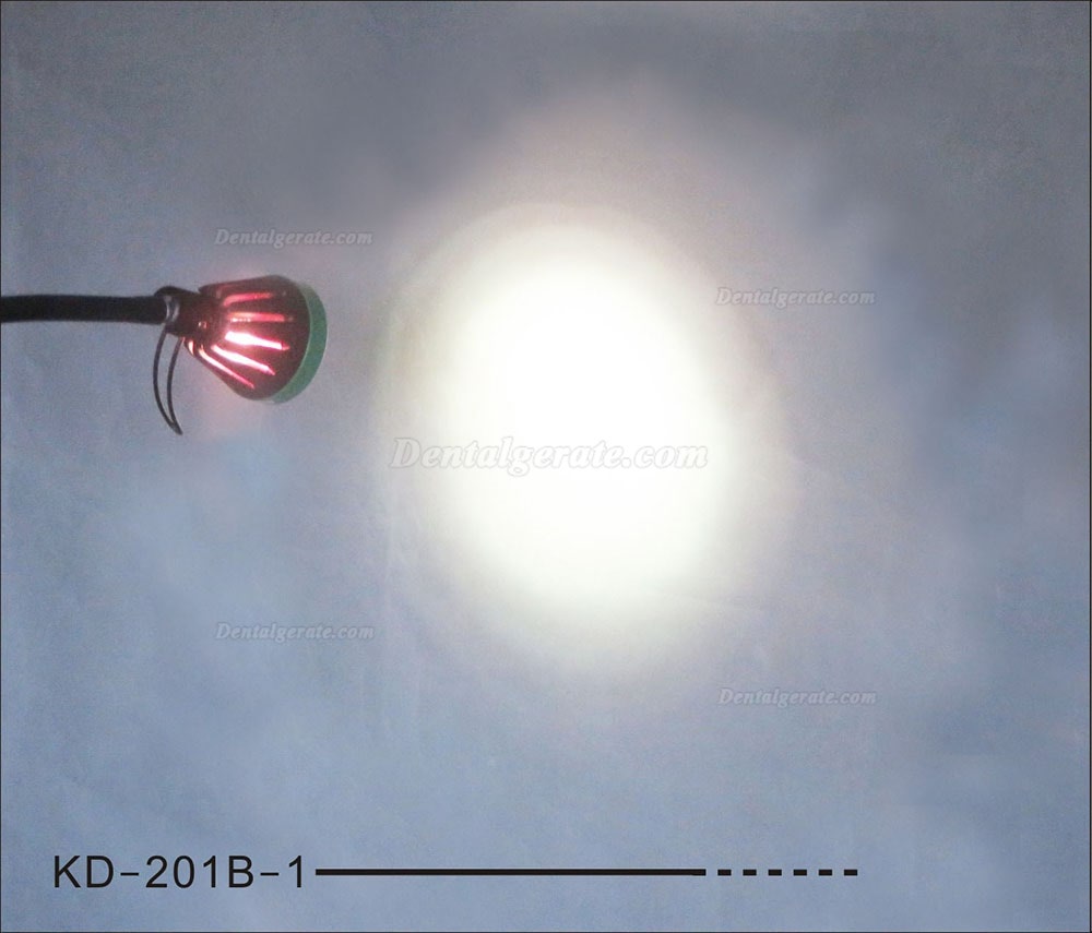 3W LED Tragbares zahnärztliches Untersuchungslicht mit hoher Helligkeit KWS KD-2005W-2 3W LED Tragbares zahnärztliches Untersuchungslicht mit hoher Helligkeit KWS KD-2005W-2