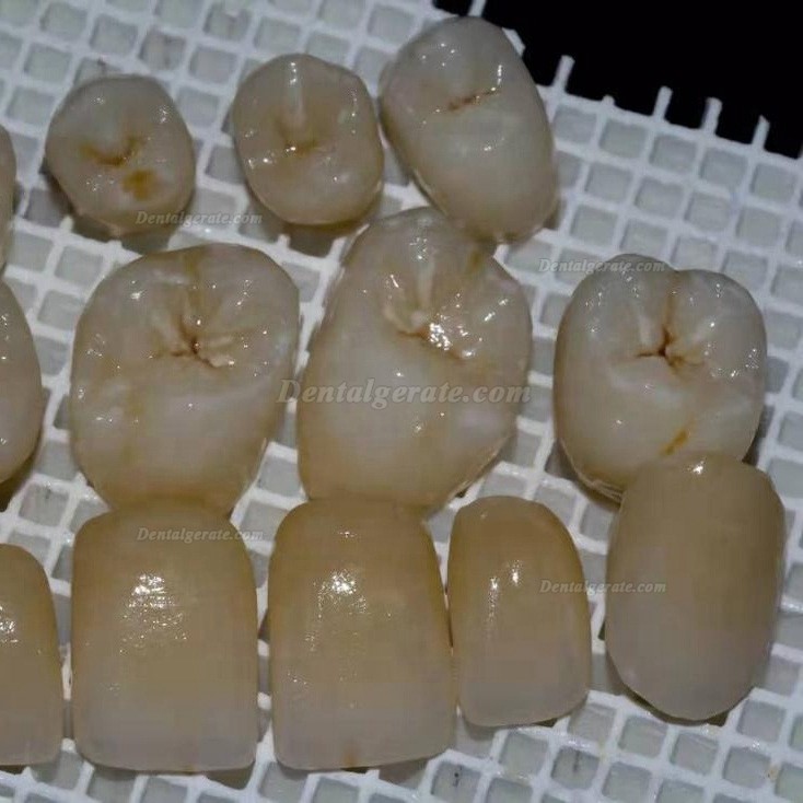 Kingch® ST-M 3D-M 98/95mm Dentallabor Vorgefärbt Zirkon Ronden CAD/CAM Keramik Blöcke Kingch® ST-M 3D-M 98/95mm Dentallabor Vorgefärbt Zirkon Ronden CAD/CAM Keramik Blöcke