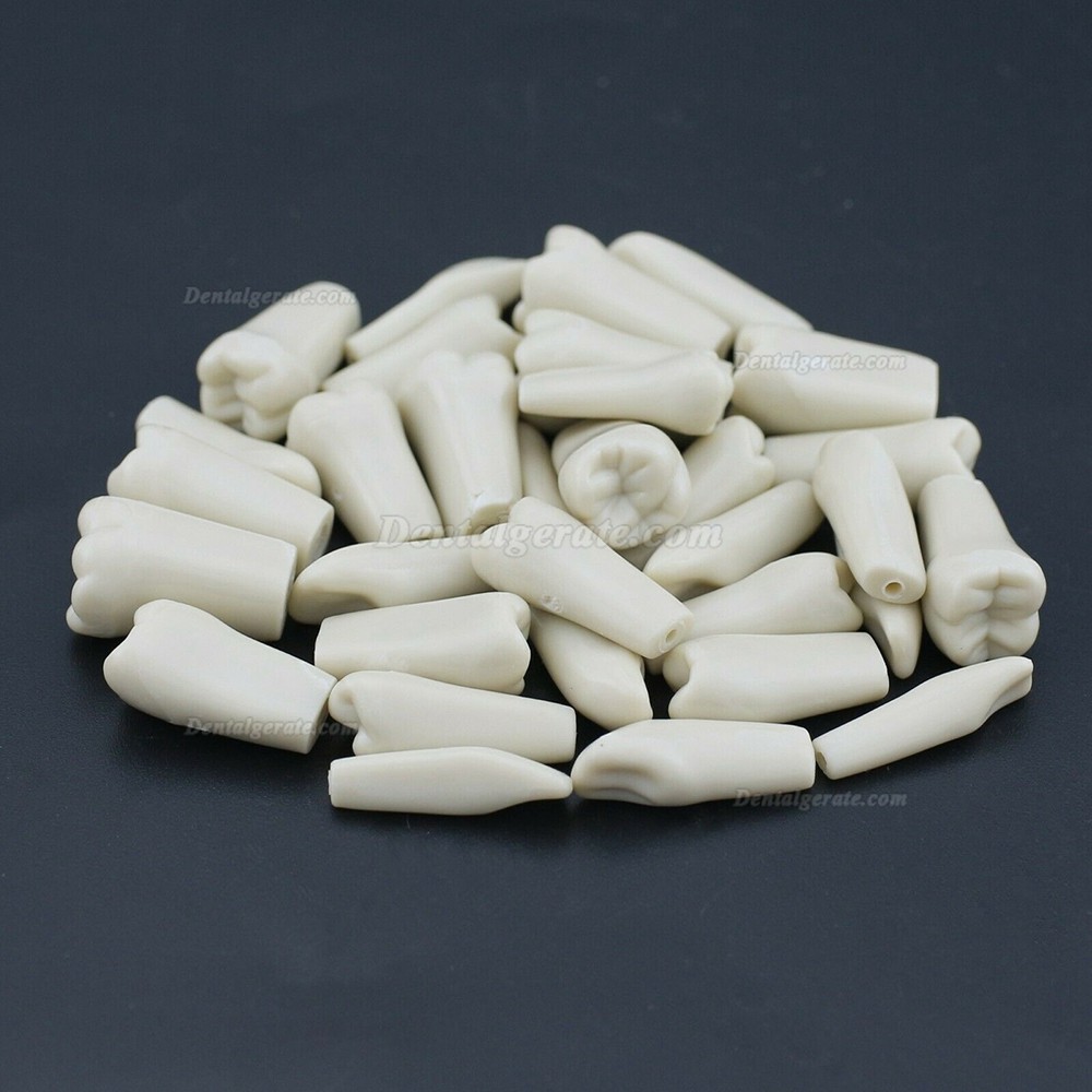 Dental Modellzähne M8023 32 Stck Ersatzzähne (Kompatibler Columbia 860) Dental Modellzähne M8023 32 Stck Ersatzzähne (Kompatibler Columbia 860)