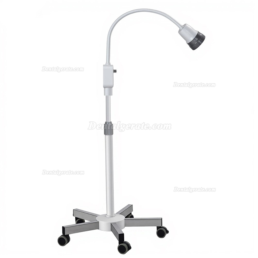 Micare JD1000L Zahn&auml;rztliche Untersuchungsleuchte, 15-W-LED-Kaltlicht
