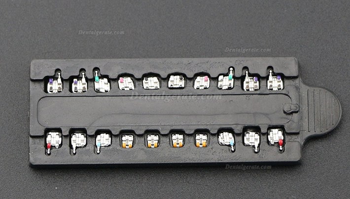50 Packungen Dental Kieferorthop&auml;dische OC Metall Brackets St&auml;nder MIM Mini Roth MBT 018 022 345