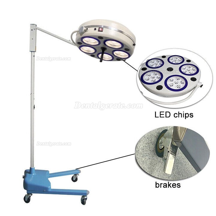 Dental Behandlungsleuchte / Mobile OP Lampe Zahnarzt (5 Reflektoren 30 LEDs)