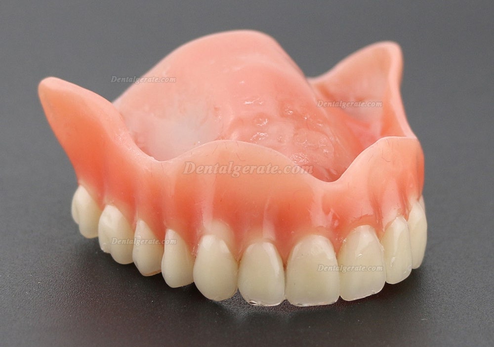 Dental Implantat rrepair Overdenture Oral Modell 6001