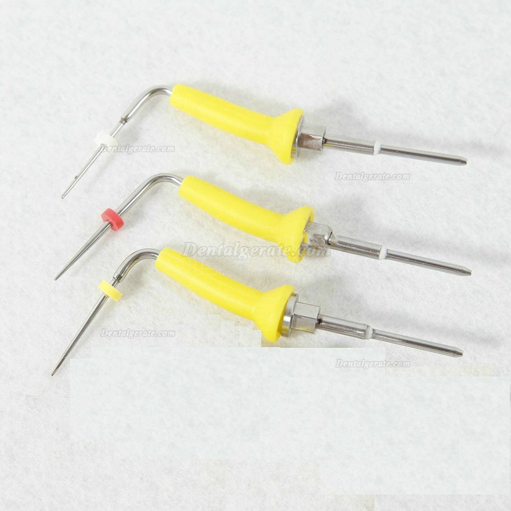 3 Stück Dental Percha Gutta Stiftspitze für Endodontie Obturationssystem 3 Stück Dental Percha Gutta Stiftspitze für Endodontie Obturationssystem