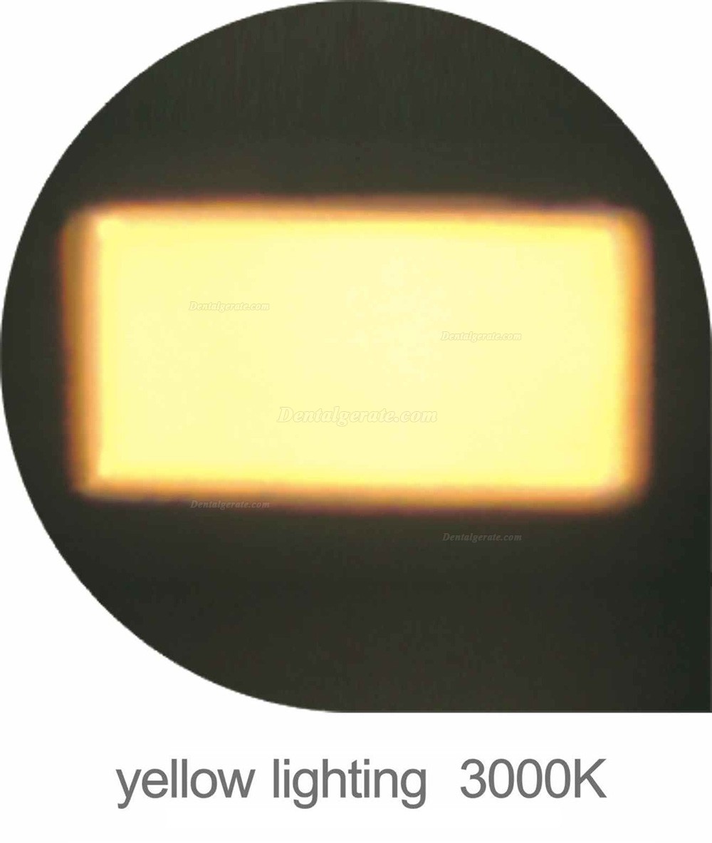 KY&reg; P106A 28W OP-Leuchte f&uuml;r Dentalbereich 9 LED Lampe (an der Wand montiert)
