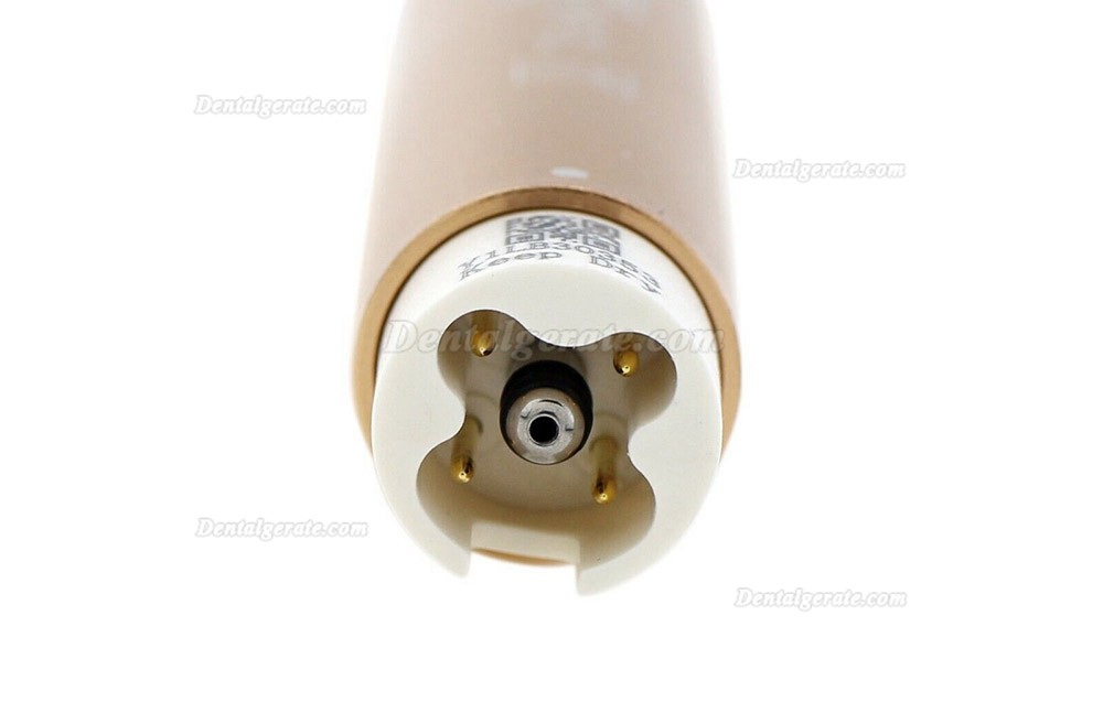 Refine HY-1L LED UltraschallScaler Handst&uuml;ck Autoklaven Kit f&uuml;r Satelec Acteon P5 P5XS