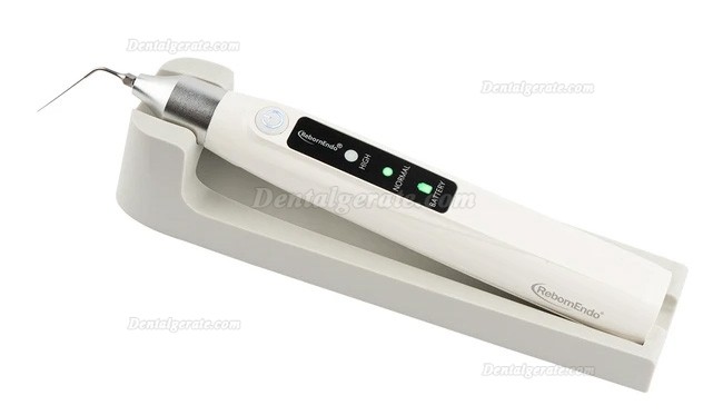 RebornEndo Ultra R6 endo activator handst&uuml;ck endoactivator