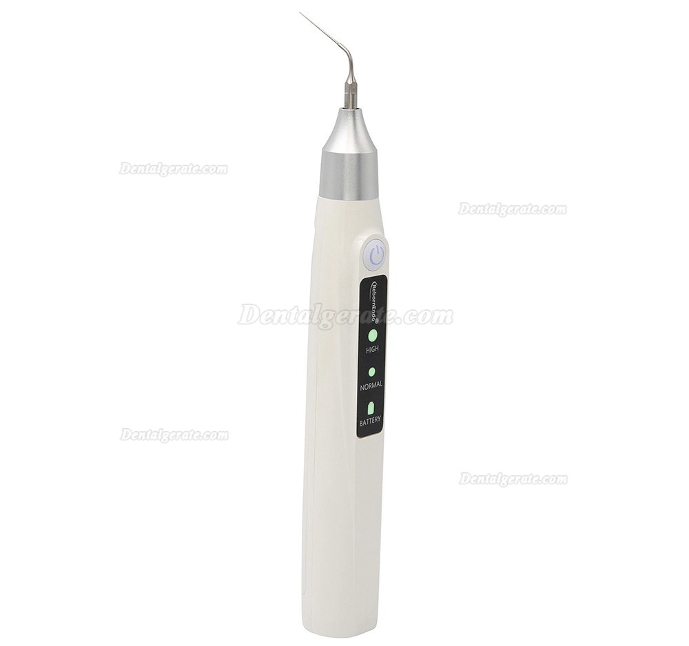 RebornEndo Ultra R6 endo activator handst&uuml;ck endoactivator