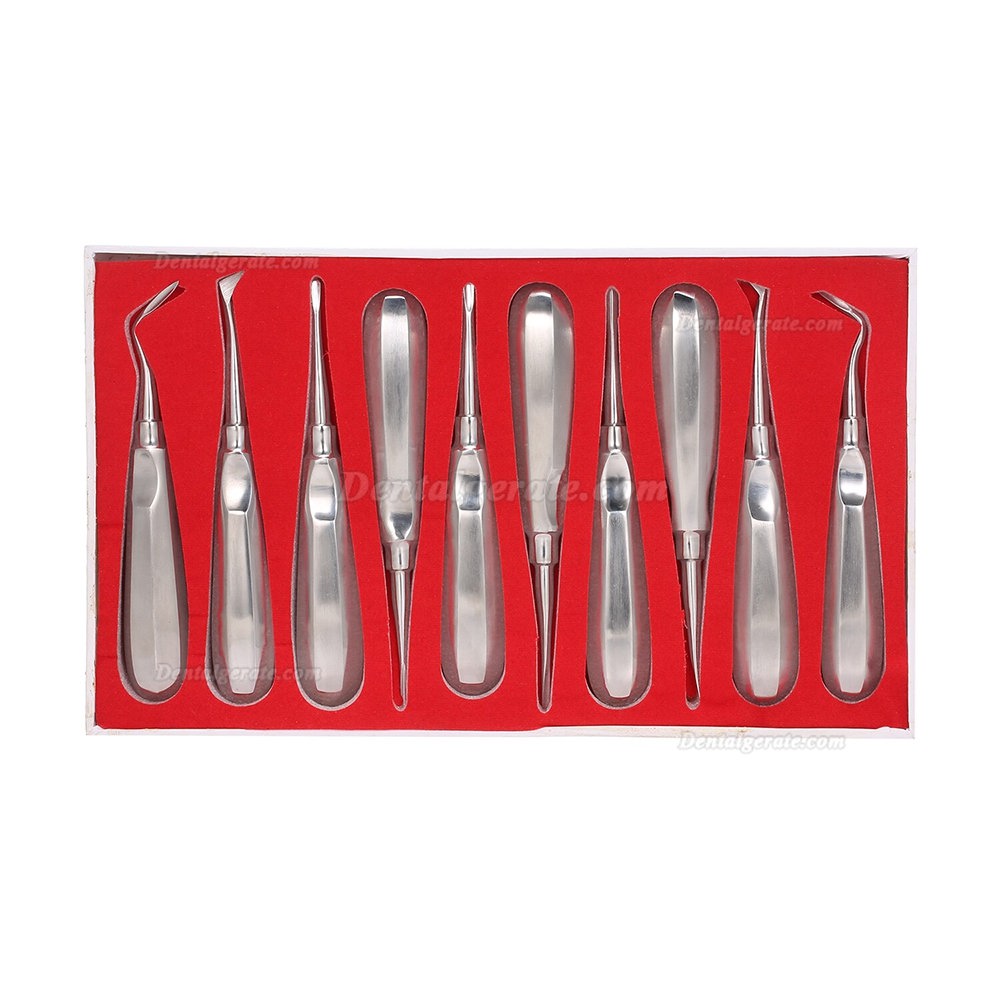 10 x Luxierinstrumente - Beinsche Hebel - Elevatoren - Wurzelheber Kit