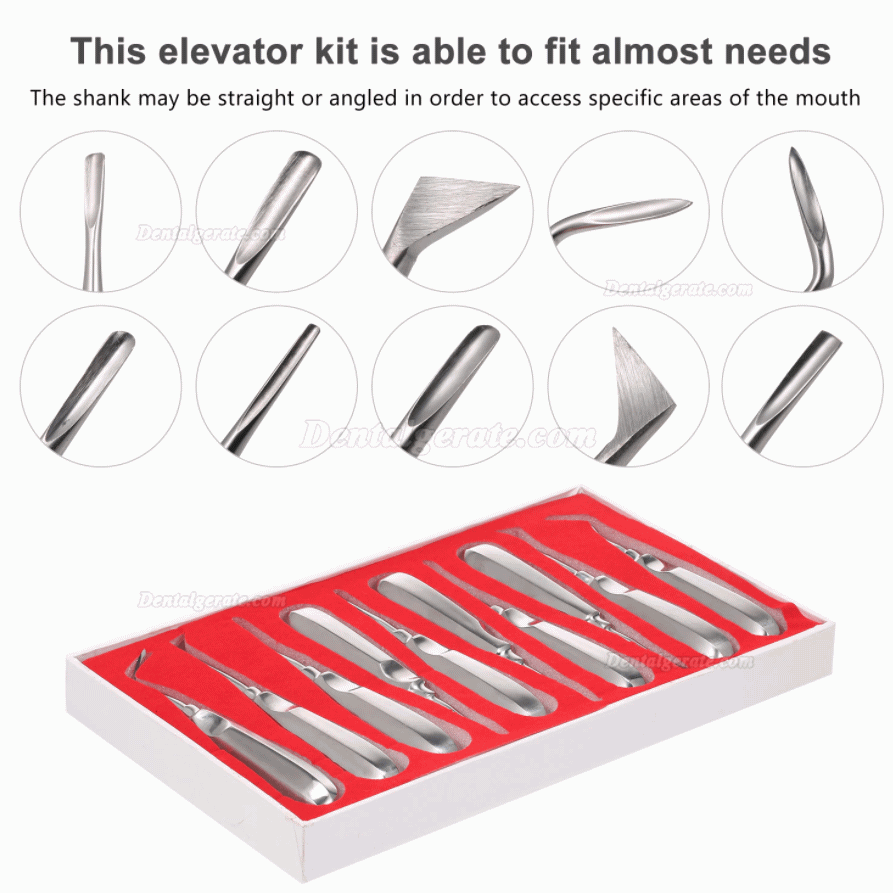 10 x Luxierinstrumente - Beinsche Hebel - Elevatoren - Wurzelheber Kit