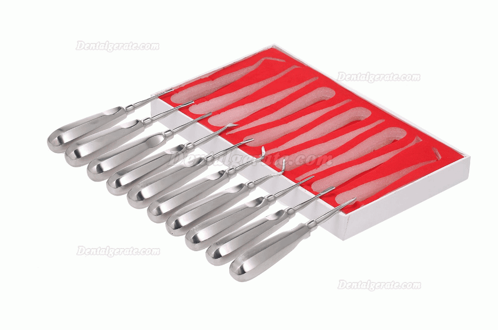 10 x Luxierinstrumente - Beinsche Hebel - Elevatoren - Wurzelheber Kit