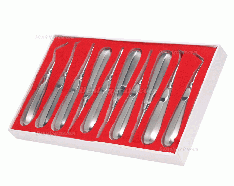 10 x Luxierinstrumente - Beinsche Hebel - Elevatoren - Wurzelheber Kit