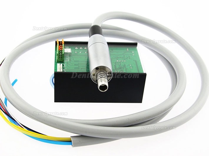 BEING Rose4000 Electric Bürstenloser Mikromotor + Rose 202CAI5-B Faseroptik 1:5 Winkelstücke Handstück BEING Rose4000 Electric Bürstenloser Mikromotor + Rose 202CAI5-B Faseroptik 1:5 Winkelstücke Handstück