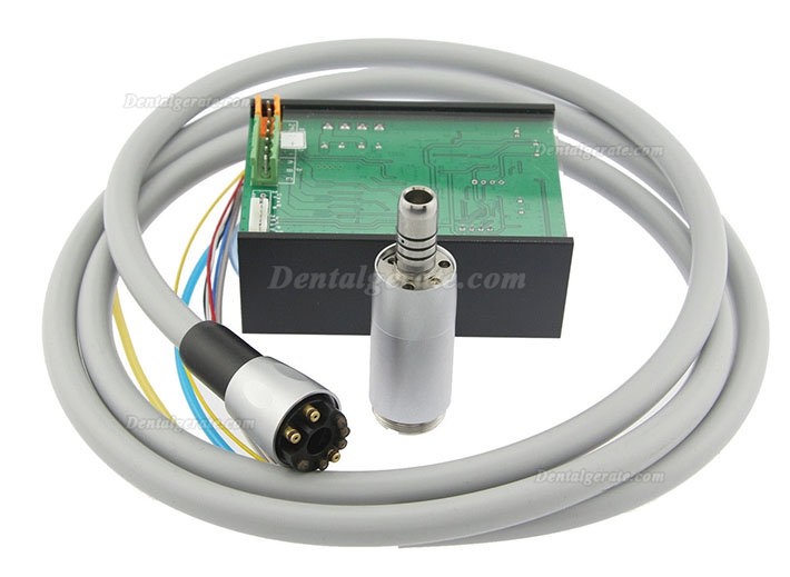 BEING Rose4000 Electric Bürstenloser Mikromotor + Rose 202CAI5-B Faseroptik 1:5 Winkelstücke Handstück BEING Rose4000 Electric Bürstenloser Mikromotor + Rose 202CAI5-B Faseroptik 1:5 Winkelstücke Handstück
