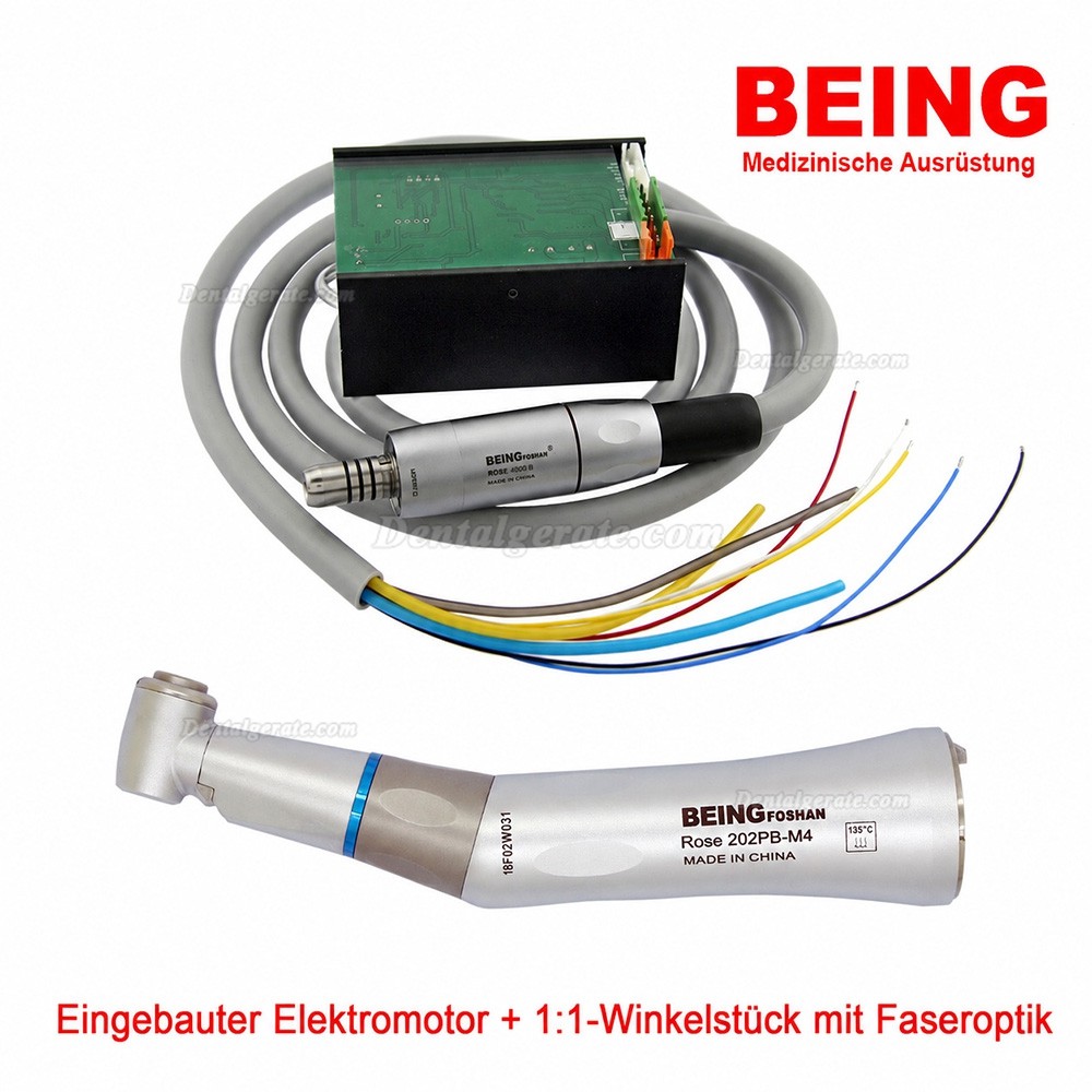 BEING Rose4000 Eingebauter zahn&auml;rztlicher Elektromotor + Rose 202-CA(PB) 1:1 Faseroptisches Winkelst&uuml;ck