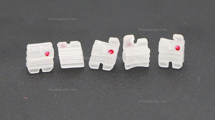 20 Boxen Dental Kieferorthop&auml;dische Keramik Brackets St&auml;nder Roth MBT 018 022 345 Haken