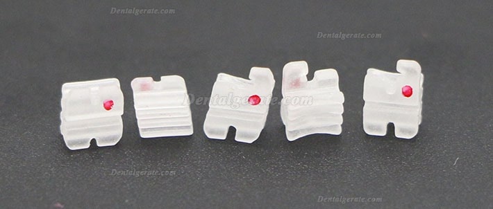 20 Boxen Dental Kieferorthop&auml;dische Keramik Brackets St&auml;nder Roth MBT 018 022 345 Haken