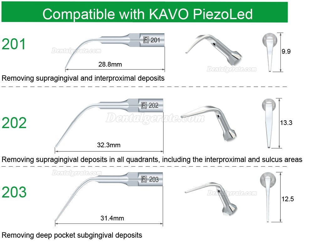 5 Stück Refine® Piezo Spitzen für Prophylaxe 201 202 203 Kompatibel mit KAVO PiezoLed Ultraschall Scaler Handstück