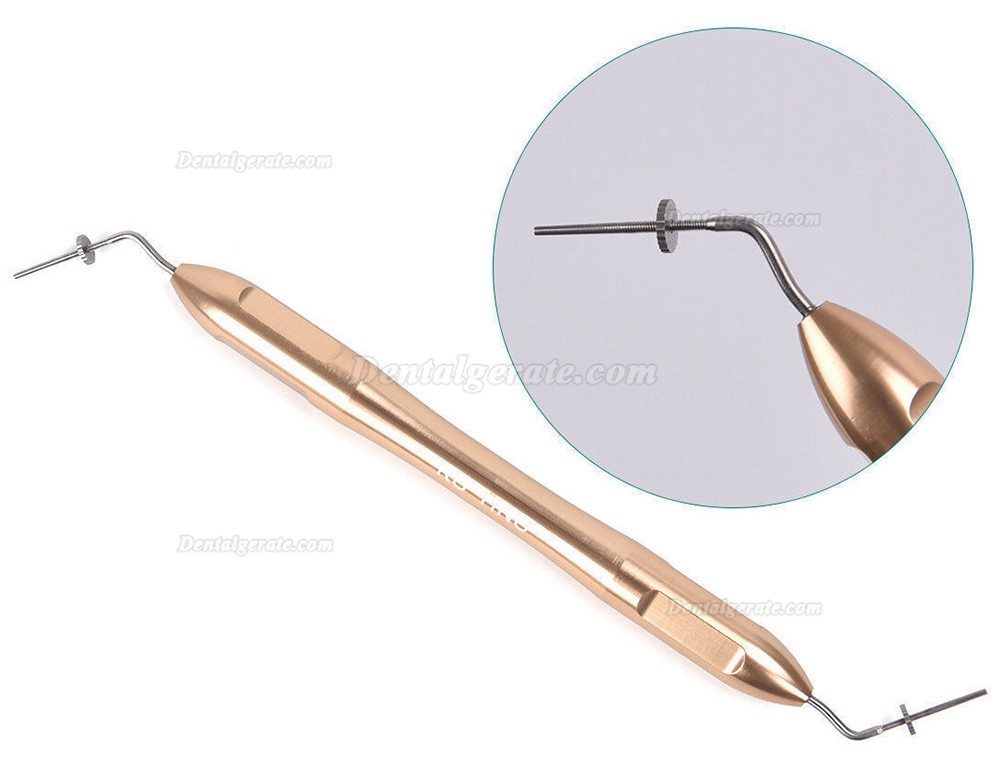 Dental Wurzelkanalstopfer aus Edelstahl Buchanan Hand Plugger Kit S/M/L