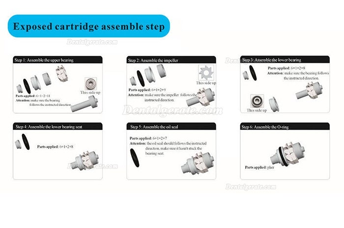 Dental Schnelle Geschwindigkeit Handstück Wartung Turbinenlager Reparatur Presswerkzeuge Kit Dental Schnelle Geschwindigkeit Handstück Wartung Turbinenlager Reparatur Presswerkzeuge Kit