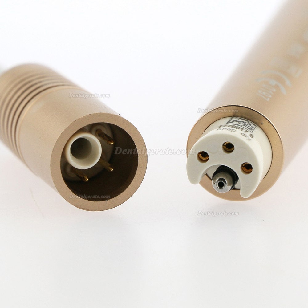 Woodpecker UDS-N6 Dental gebaut in Ultraschall Piezo Scaler E1 G4 G5 P1 P4 Spitze EMS