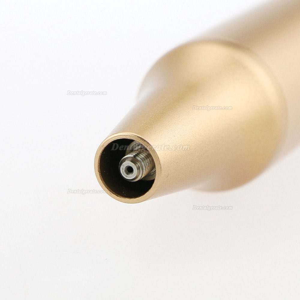 Woodpecker UDS-N6 Dental gebaut in Ultraschall Piezo Scaler E1 G4 G5 P1 P4 Spitze EMS