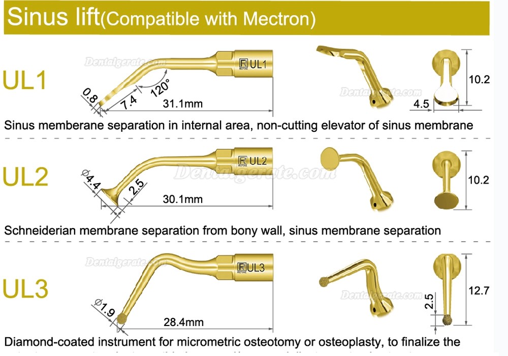 1 Stück Piezochirurgie Spitzen für Sinuslifting UL1 UL2 UL3 UL4 UL5 (Kompatibel Mit Mectron Woodpecker)