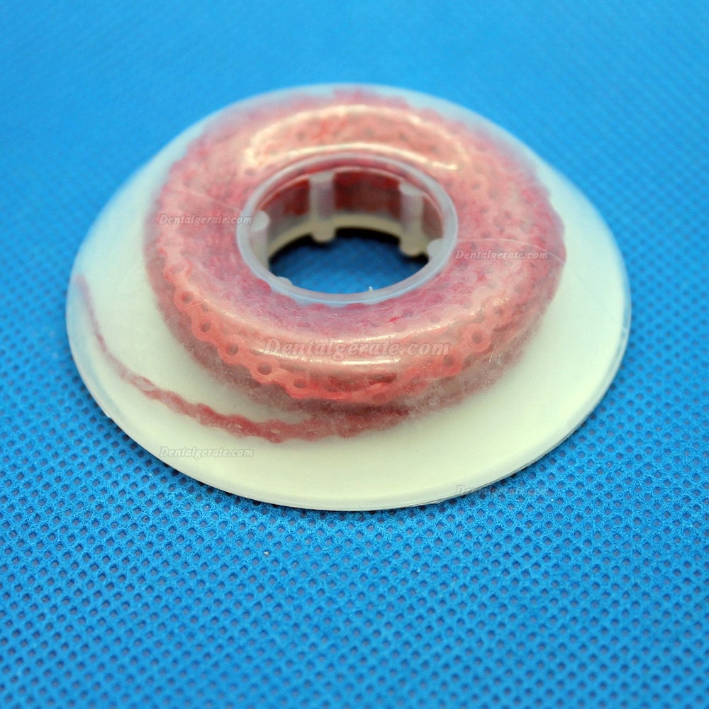 Dental Kieferorthop&auml;dische Elastische Gummi Extrem Power Kette Lang