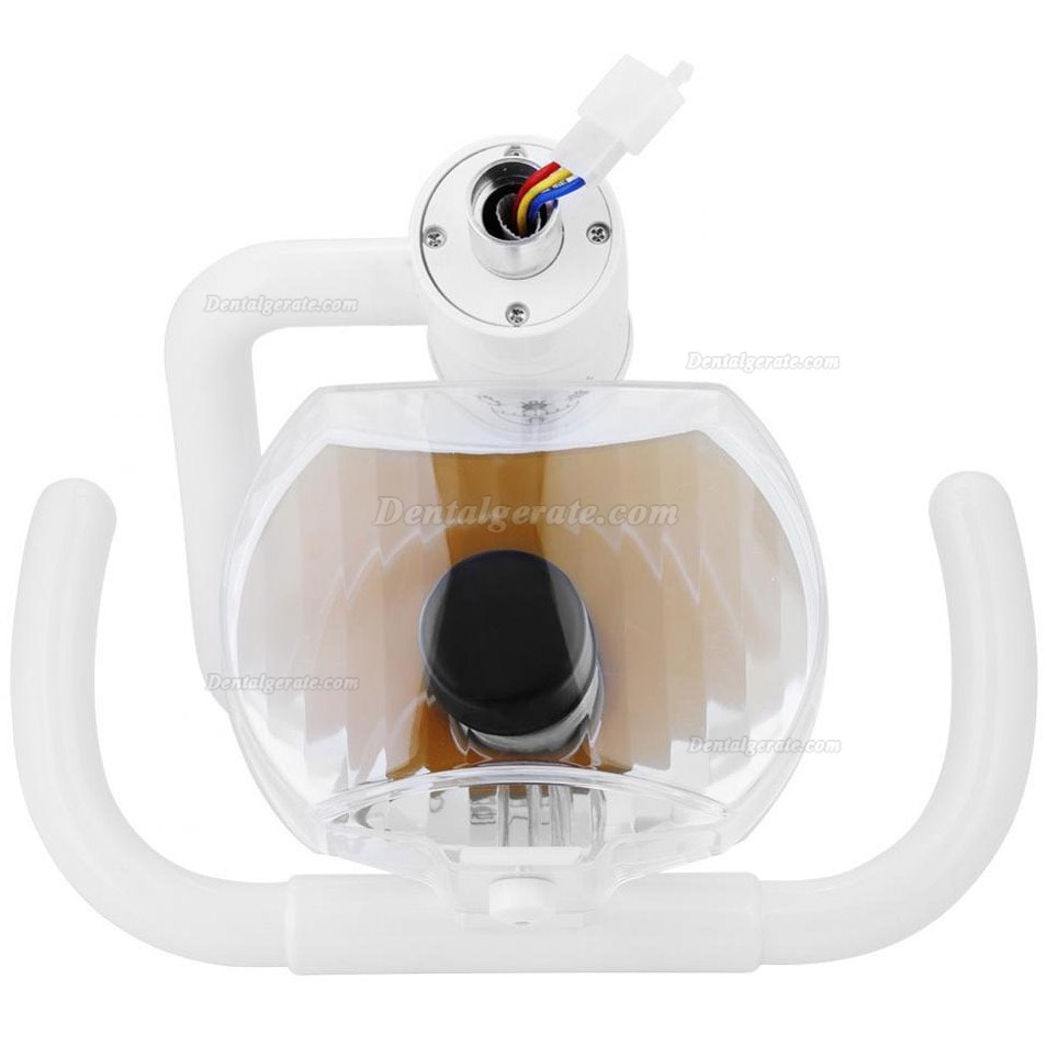 50W Wandbehang Zahnheilkunde Medizinische Mundleuchte mit Arm Shadowless kaltes Licht