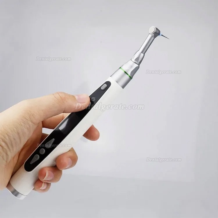 Westcode EndoII endo motor mit 2 st&uuml;ck led-licht