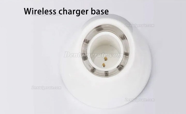Westcode EndoII endo motor mit 2 st&uuml;ck led-licht
