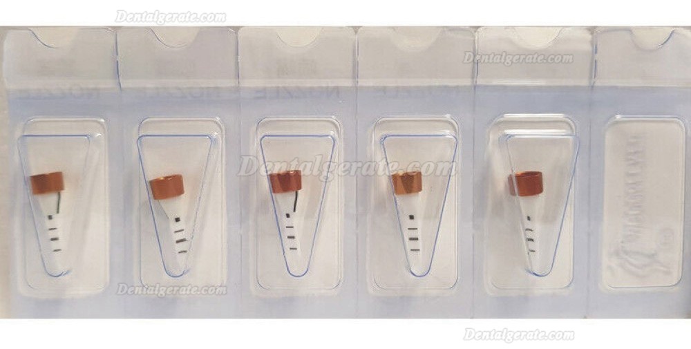 Woodpecker AP-H Plus airflow pulverstrahlger&auml;t zahnarzt, supraGingival / subgingival Handst&uuml;ck 4 Loch