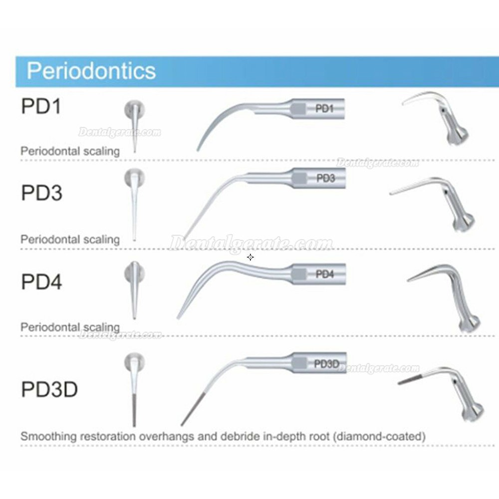 10 St&uuml;ck Woodpecker DTE PD1/PD3/PD4/PD3D/PD4D UltraschallScaler Spitze Kompatibel mit Satelec NSK