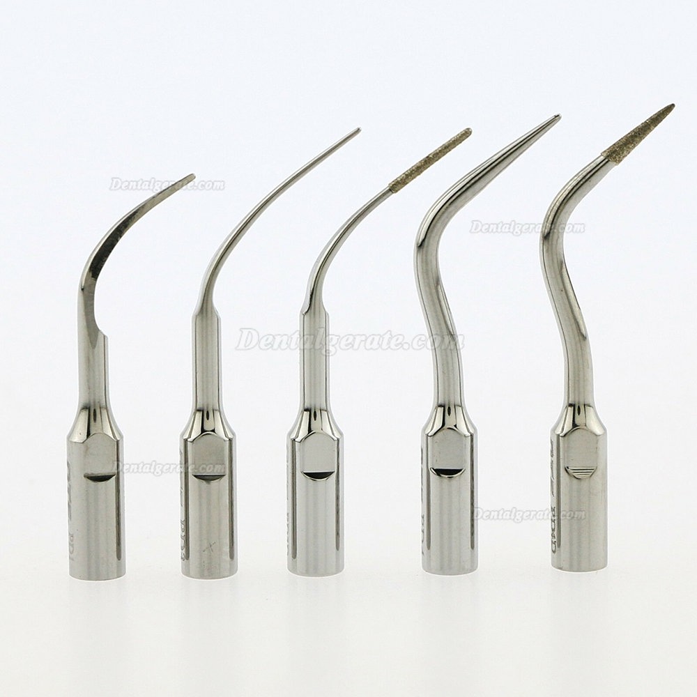 10 St&uuml;ck Woodpecker DTE PD1/PD3/PD4/PD3D/PD4D UltraschallScaler Spitze Kompatibel mit Satelec NSK