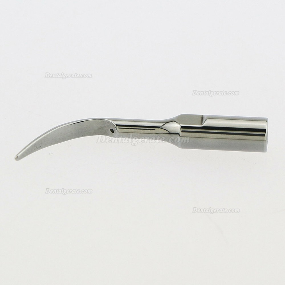 10 Stück Woodpecker GD1 GD2 GD3 GD4 GD5 GD7 GD8 Ultraschallspitzen Kompatibel mit Satelec NSK 10 Stück Woodpecker GD1 GD2 GD3 GD4 GD5 GD7 GD8 Ultraschallspitzen Kompatibel mit Satelec NSK