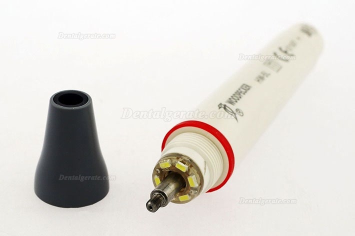 Woodpecker HW-5L Ultraschall Scaler LED Handst&uuml;ck Abnehmbares Handst&uuml;ck EMS Kompatibel